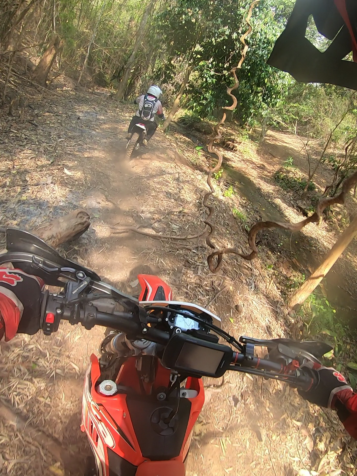 vlcsnap-2019-05-20-06h39m58s515-png.78370