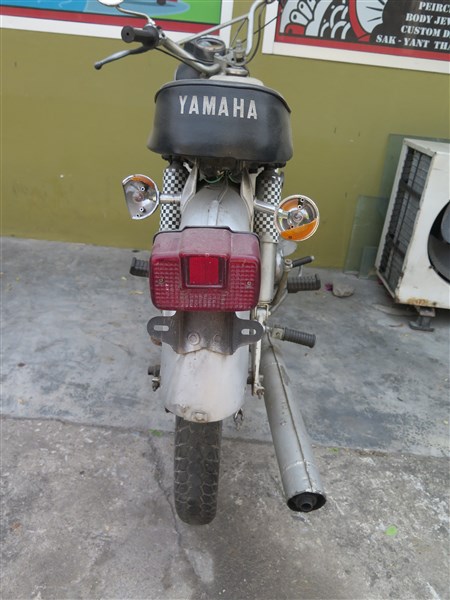 Yam 2.jpg