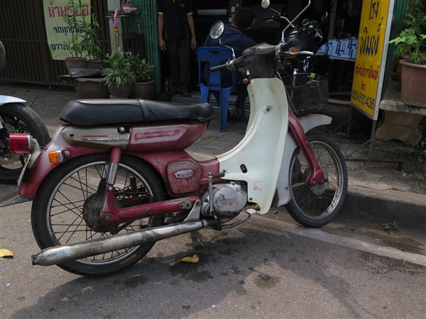 Yam 80 2.jpg