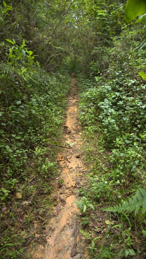 lima 85 trail.jpg lima 85 trail.jpg