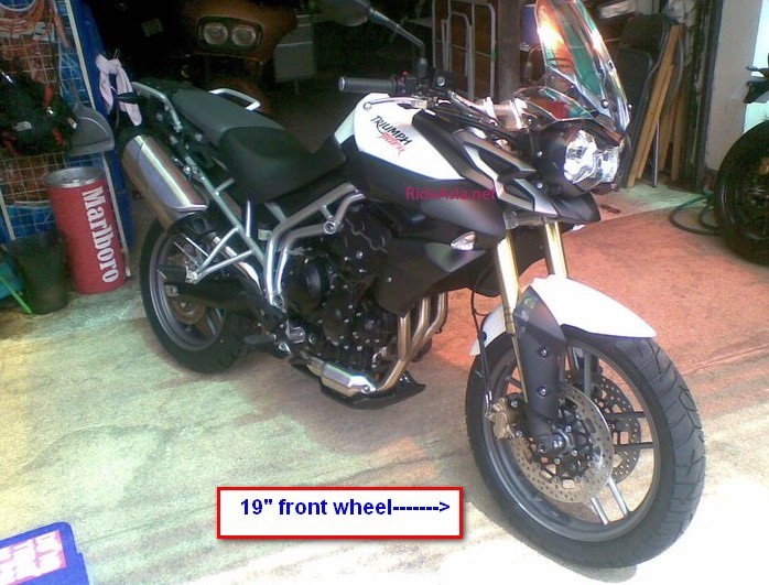 triumph adventure RA .jpg triumph adventure RA .jpg