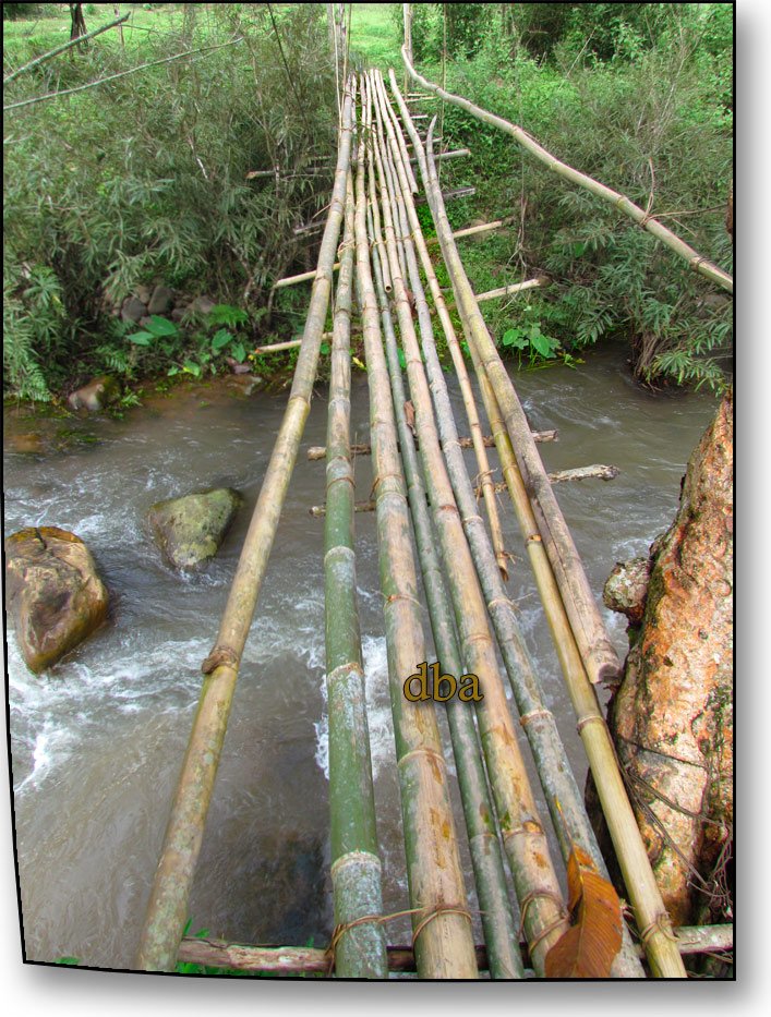 bamboo-bridge.jpg