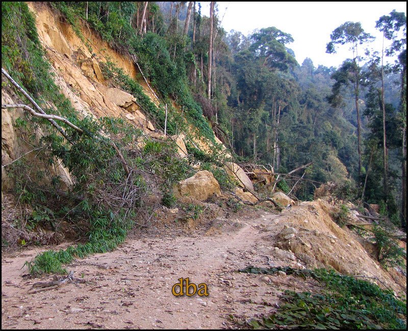 landslide1.jpg