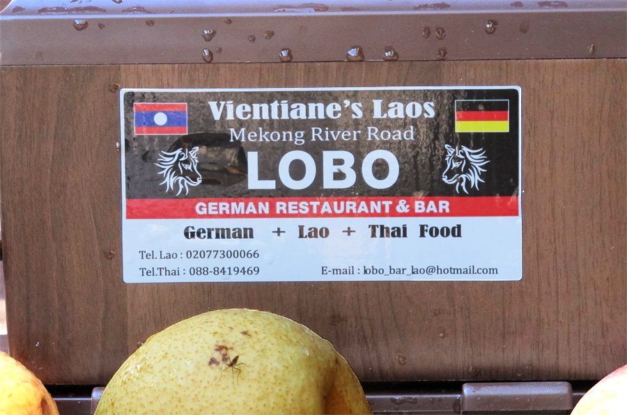 lobosticker.jpg lobosticker.jpg