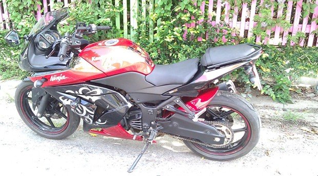 ed ninja for sale.jpg ed ninja for sale.jpg