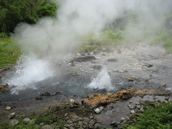 IMG_9471.JPG IMG_9471.JPG