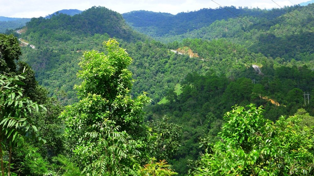 raod in the mountain ahead to shan state.jpg