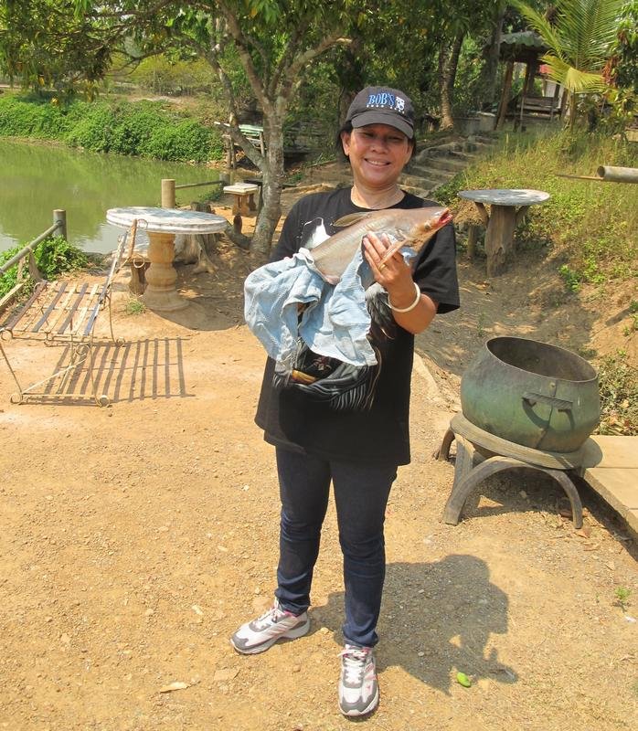 Fish 3.jpg Fish 3.jpg