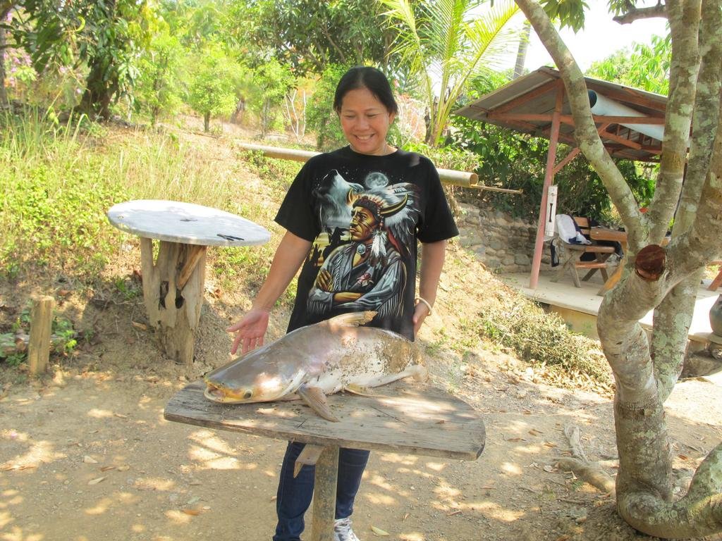 Fish 5.jpg Fish 5.jpg