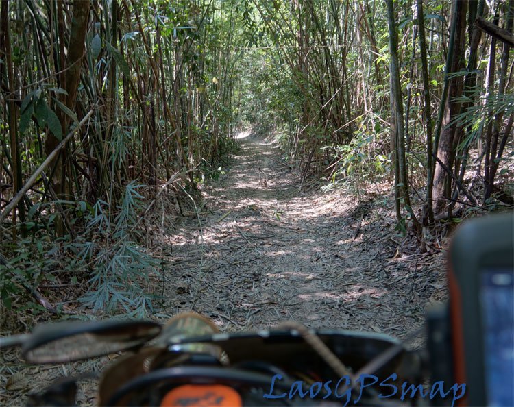 sihanook-trailbamboo.jpg