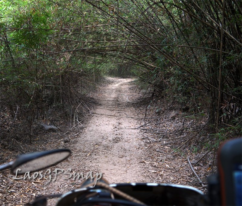 ho-chi-minh-trail.jpg