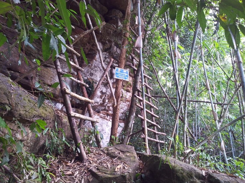 Wooden ladders-1 20130129.jpg Wooden ladders-1 20130129.jpg