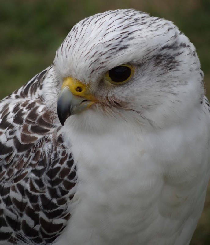 DSC09086.jpg DSC09086.jpg