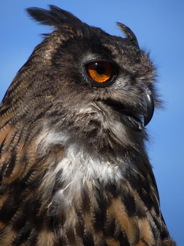 DSC09173.jpg DSC09173.jpg