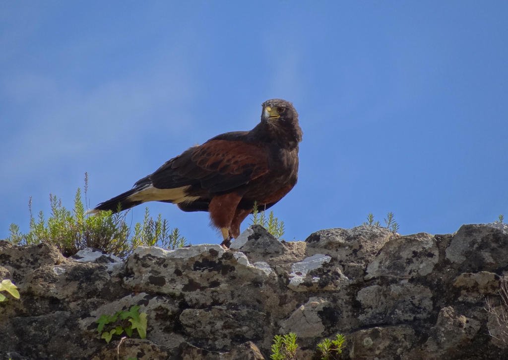 DSC09141.jpg DSC09141.jpg