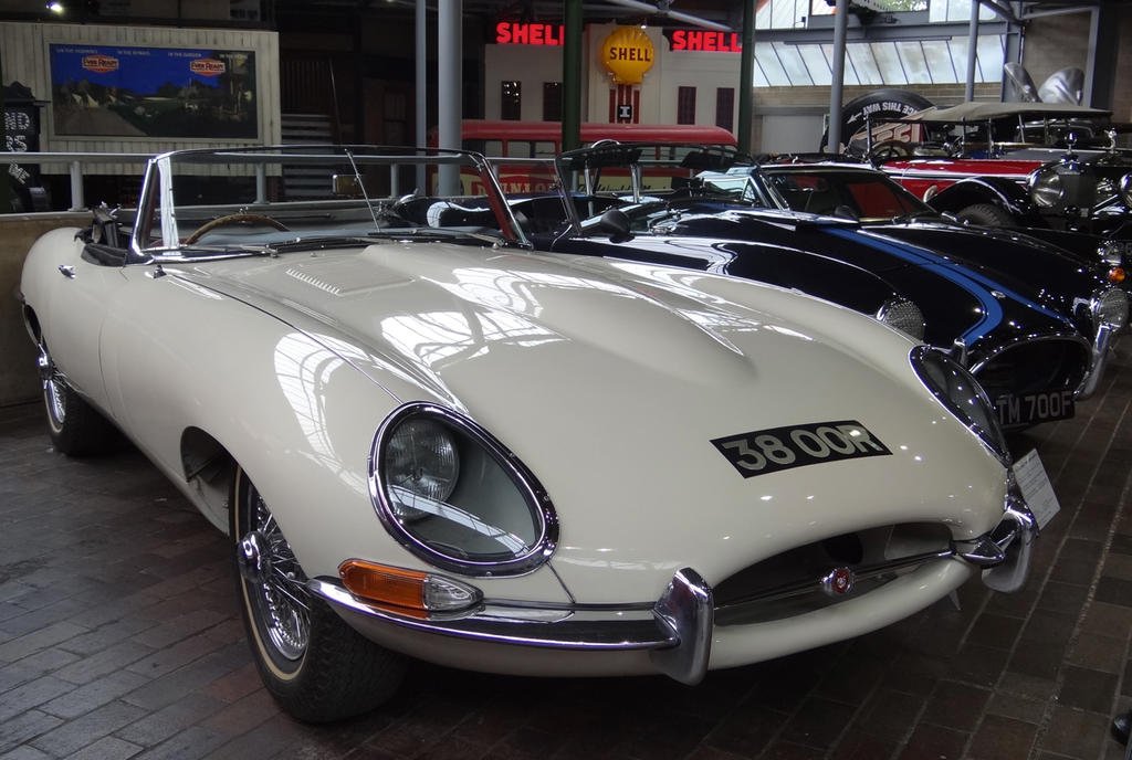 DSC09120.jpg DSC09120.jpg