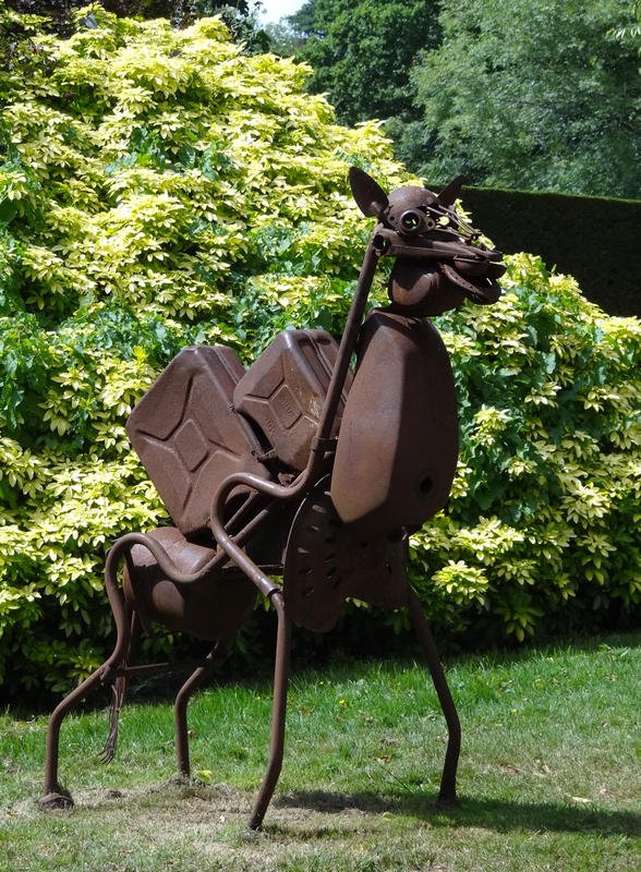 DSC09134.jpg DSC09134.jpg