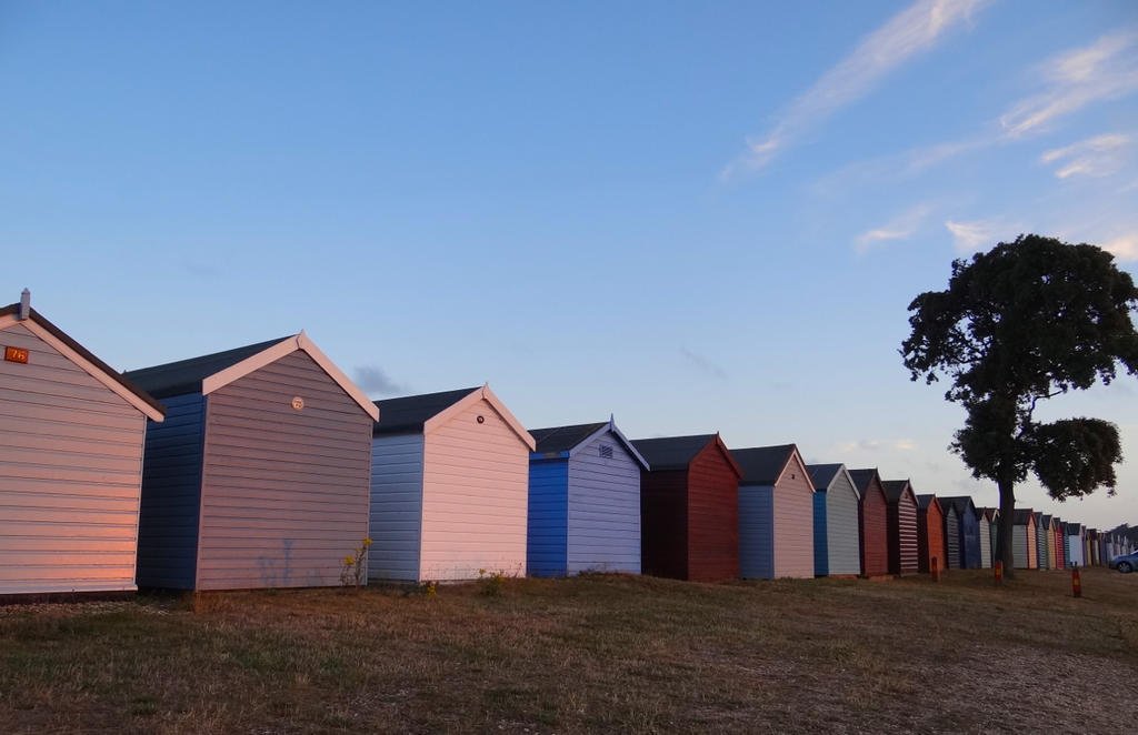 DSC09195.jpg DSC09195.jpg