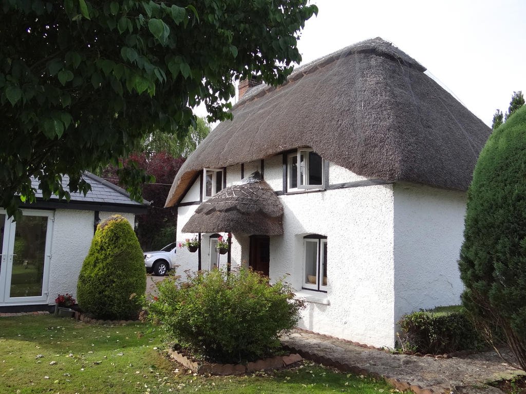 DSC09196.jpg DSC09196.jpg