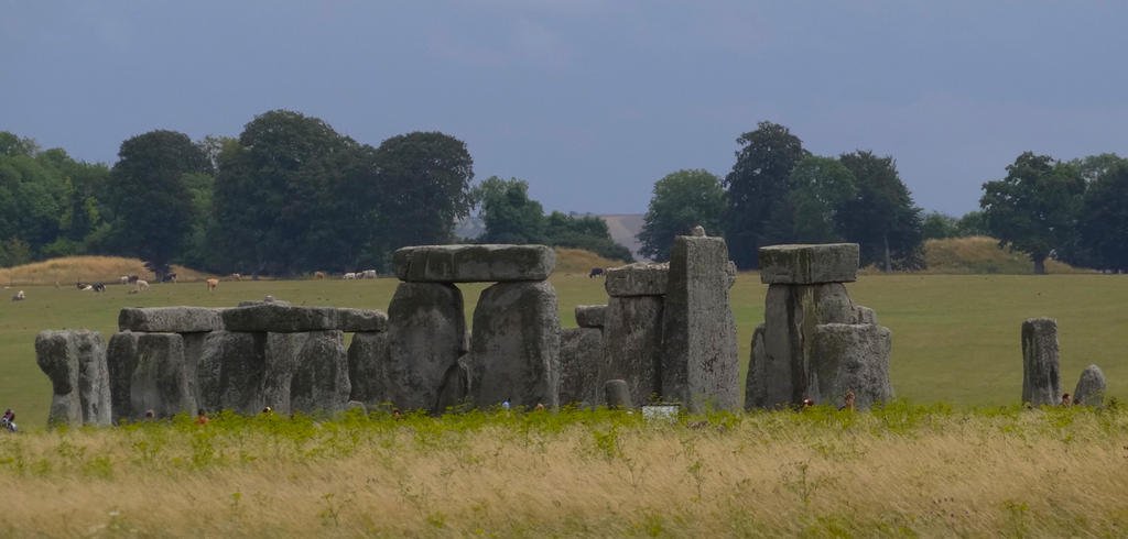 DSC09216.jpg DSC09216.jpg