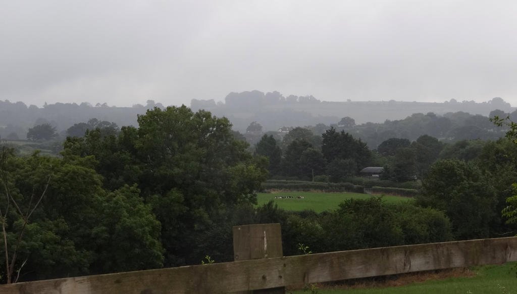 DSC09218.jpg DSC09218.jpg