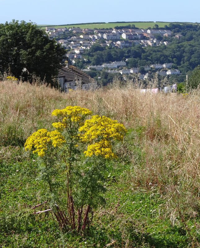 DSC09252.jpg DSC09252.jpg