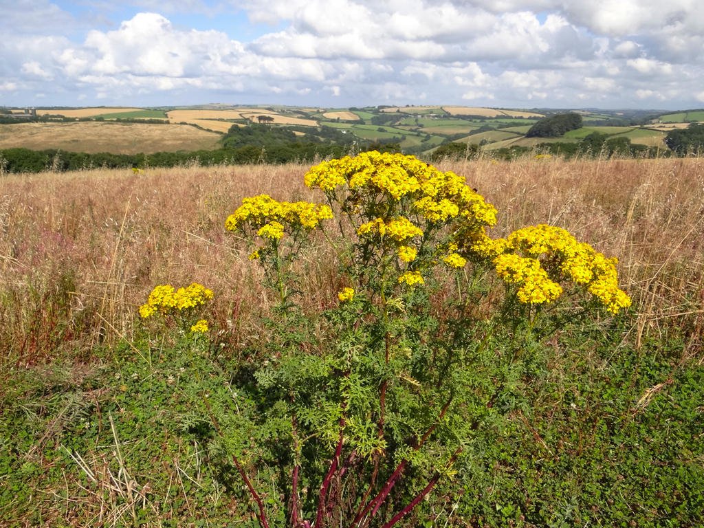 DSC09253.jpg DSC09253.jpg