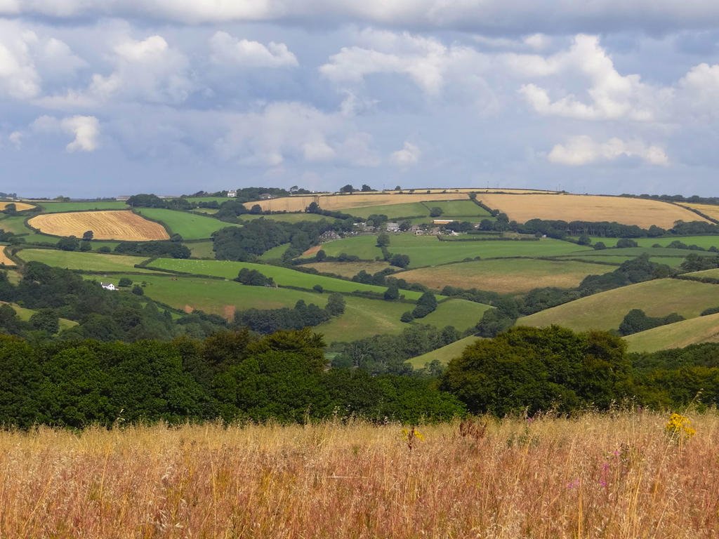 DSC09254.jpg DSC09254.jpg