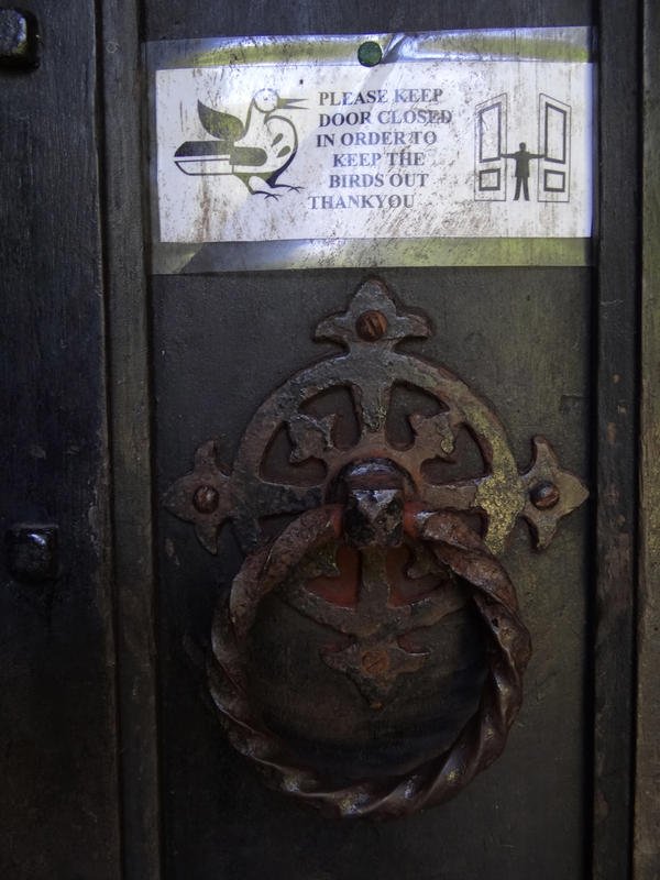 DSC09268.jpg DSC09268.jpg