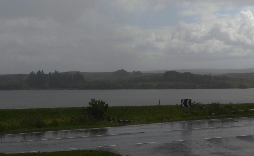 DSC09599.jpg