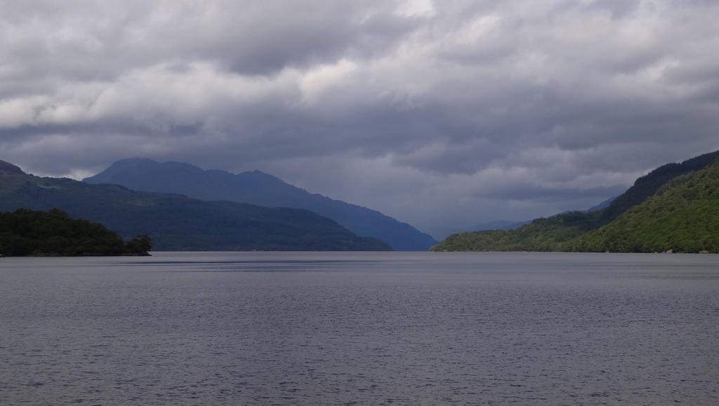DSC09653.jpg