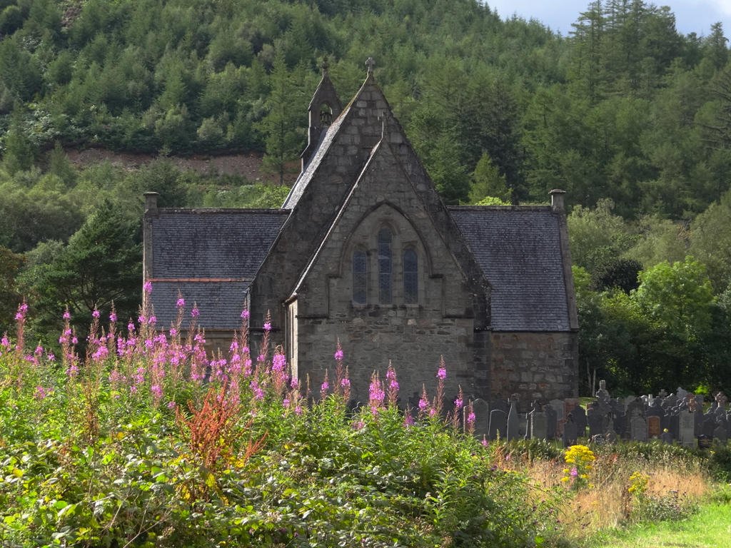 DSC09689.jpg