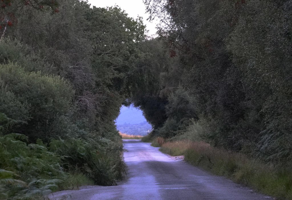 DSC09701.jpg