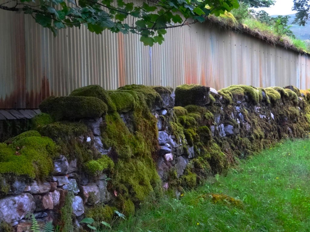 DSC09703.jpg