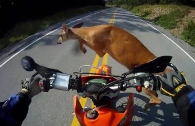 Close-Call.jpg Close-Call.jpg