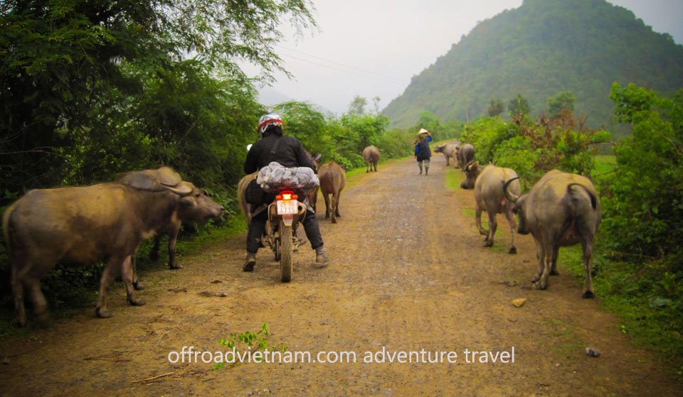 dirtbikingtourvietnam23.jpg