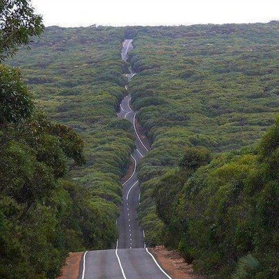 Amazing+Road,+Kangaroo+Island,+Australia.jpg