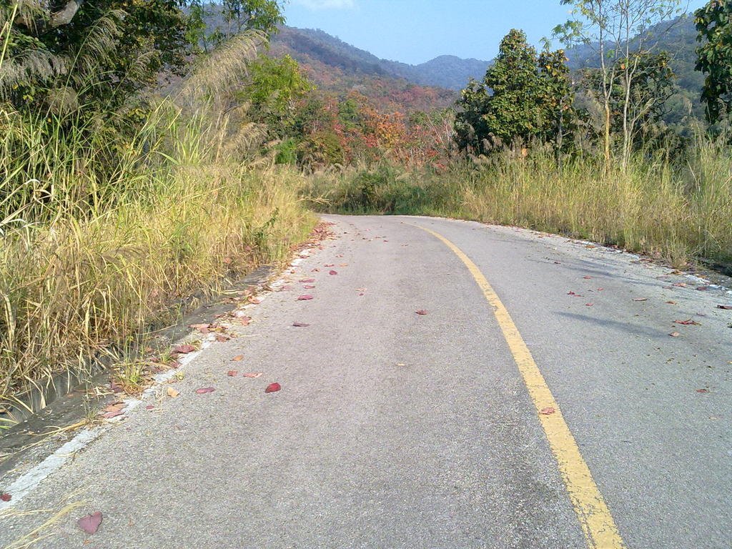 Phayo 33.jpg Phayo 33.jpg