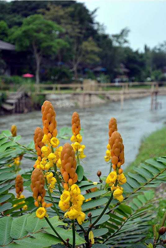DSC_0688.jpg DSC_0688.jpg