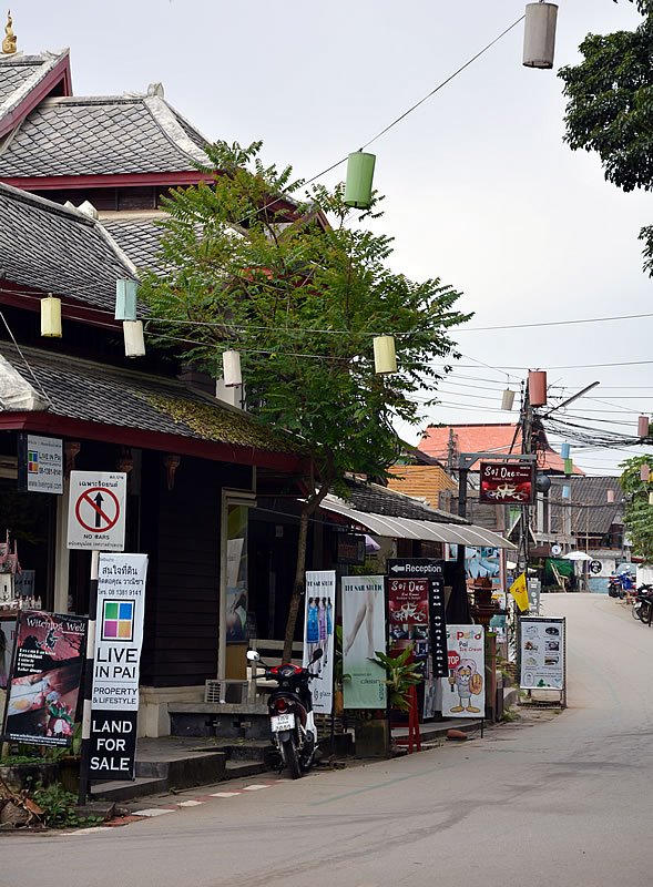 DSC_0695.jpg DSC_0695.jpg