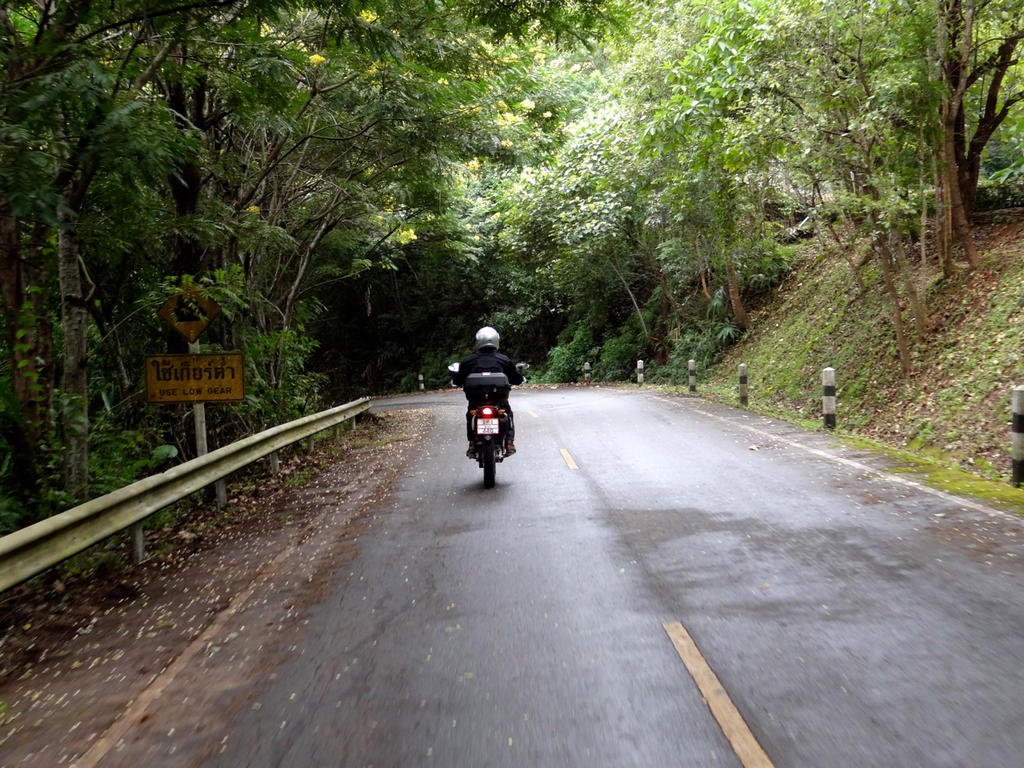 DSC00985.jpg
