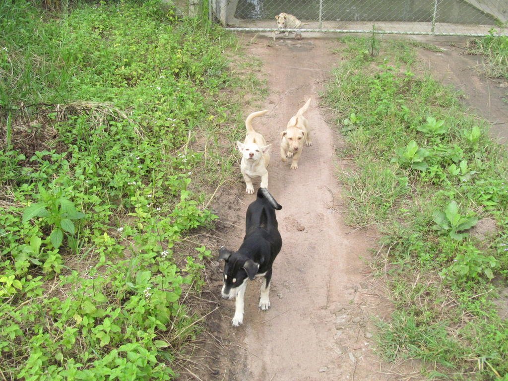 IMG_1429.jpg IMG_1429.jpg