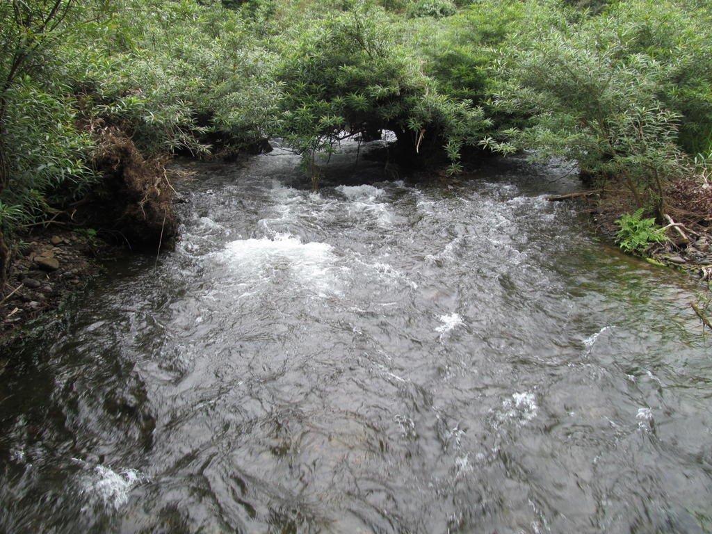 IMG_2309.jpg IMG_2309.jpg