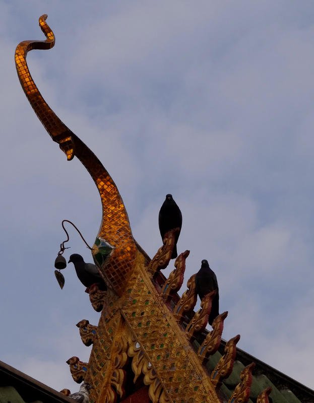 DSC01349.jpg