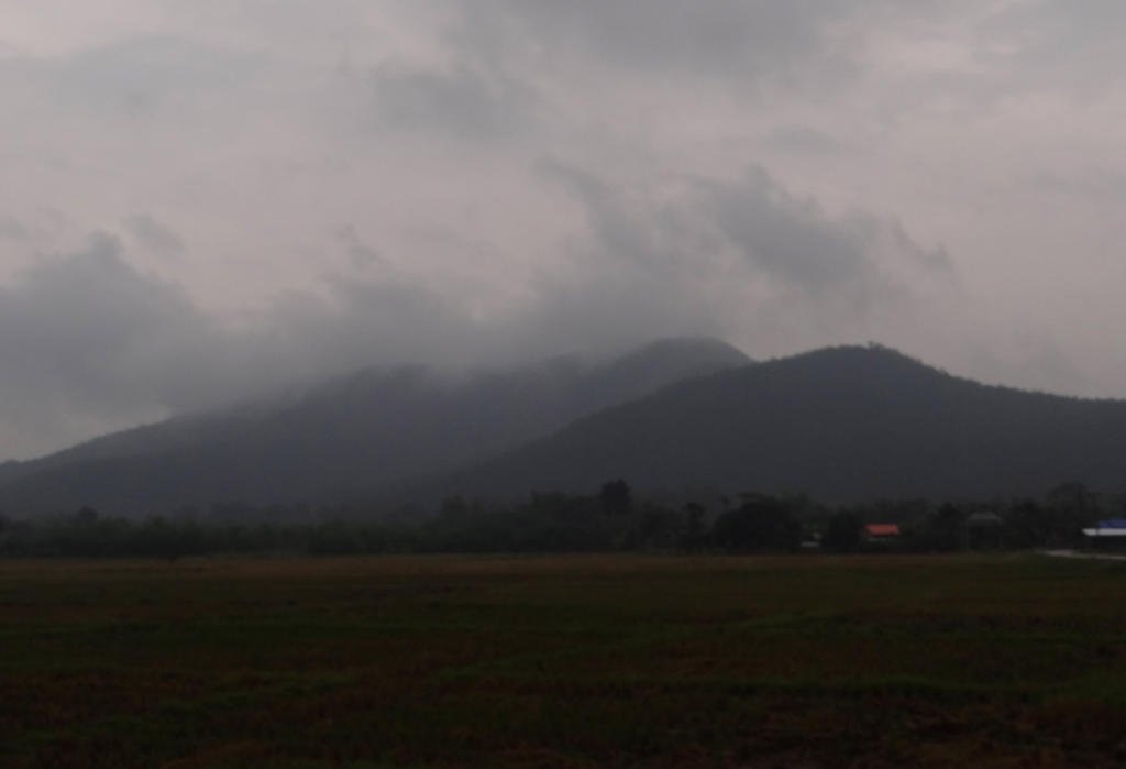 DSC01360.jpg