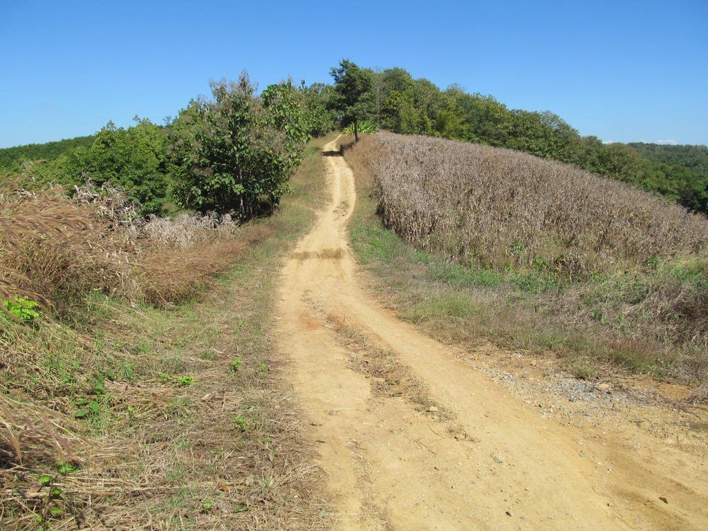 IMG_2441.jpg IMG_2441.jpg