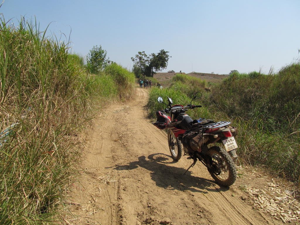 IMG_3382.jpg