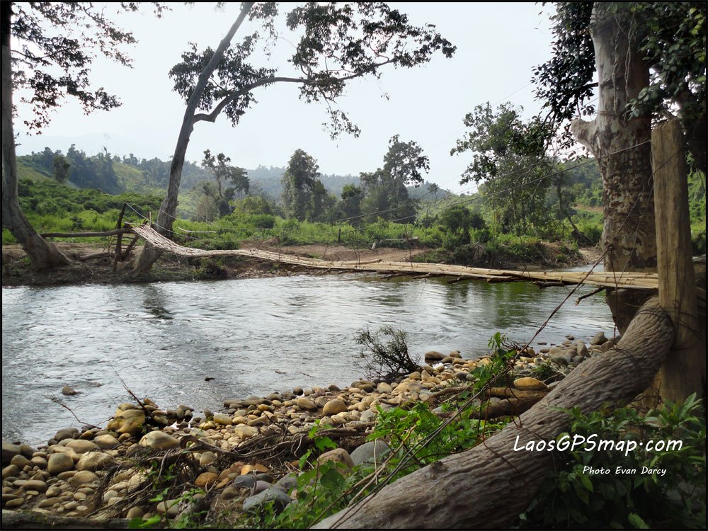 bamboo-bridge-very-shakey.jpg