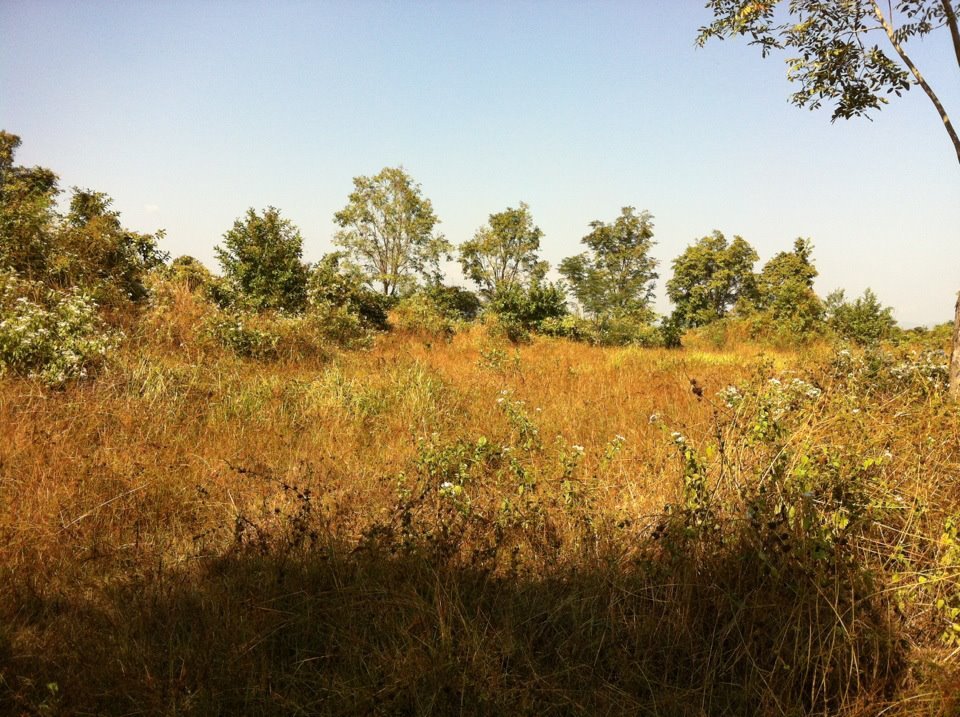 land.jpg
