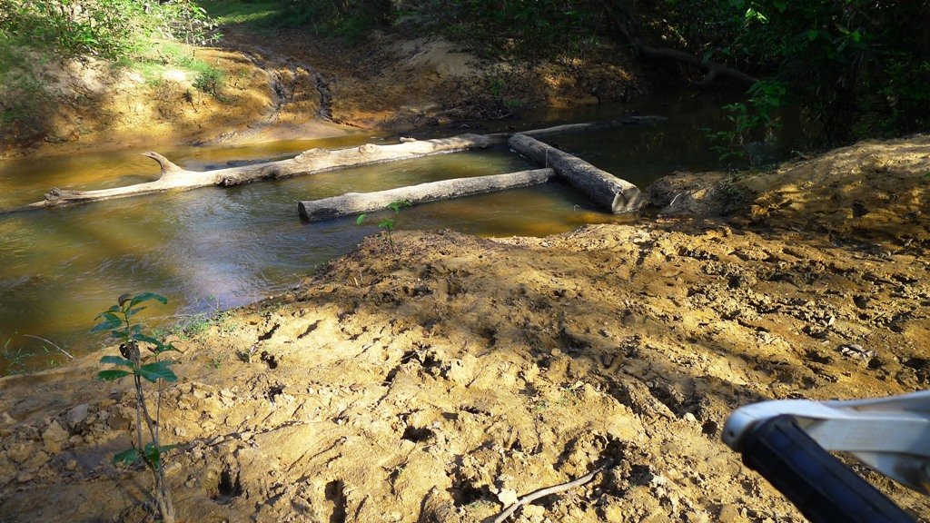 log bridge.jpg